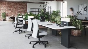 modern office with plants inside
