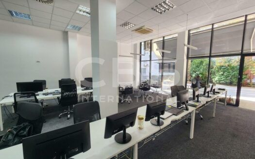 Деловен простор на приземје во Центар – 300м² + приватен двор (120м²)