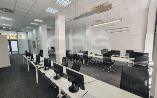 Деловен простор на приземје во Центар – 300м² + приватен двор (120м²)
