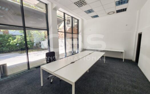 Деловен простор на приземје во Центар – 300м² + приватен двор (120м²)